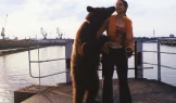 Медвежий поцелуй