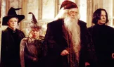 Harri Potter və Gizli Otaq