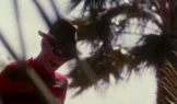 A Nightmare on Elm Street 4: The Dream Master 