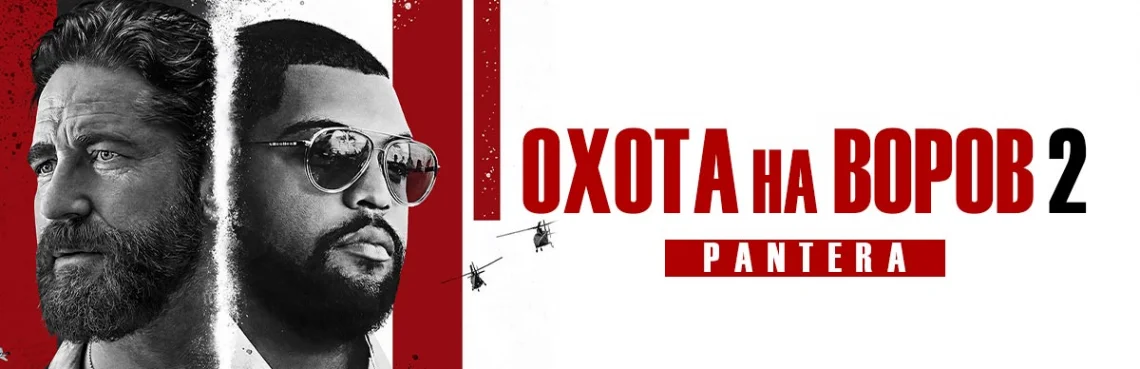 Охота на воров 2: Пантера