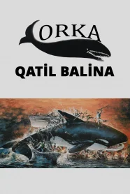 Orka: Qatil Balina