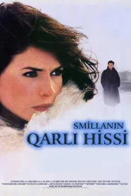 Smillanın Qarlı Hissi